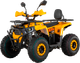 Квадроцикл M1NSK Lis 125 (желтый) - 