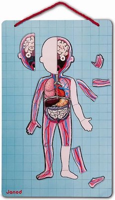 Развивающая игра Janod Части тела J05491