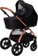 Детская универсальная коляска Tomix Walker Lux 2 в 1 / BD101BLUX (Black/Rose Gold) - 