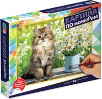 Картина по номерам MultiArt Котик с цветами / CANV22X30-CAT3 - 