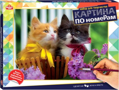 

Картина по номерам, Котики / CANV30X40-MULTI44