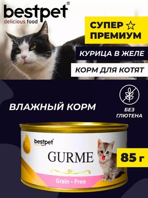 Влажный корм для кошек Bestpet Gurme для котят курица в желе (85г)