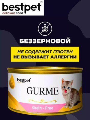 Влажный корм для кошек Bestpet Gurme для котят курица в желе (85г)