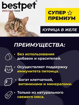 Влажный корм для кошек Bestpet Gurme для котят курица в желе (85г)