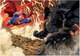 Постер Citydecor Batman 12 (21x30) - 