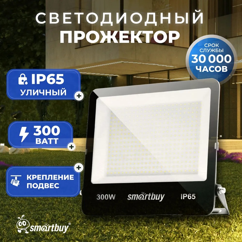 Прожектор SmartBuy SBL-EFLSMD-300-65