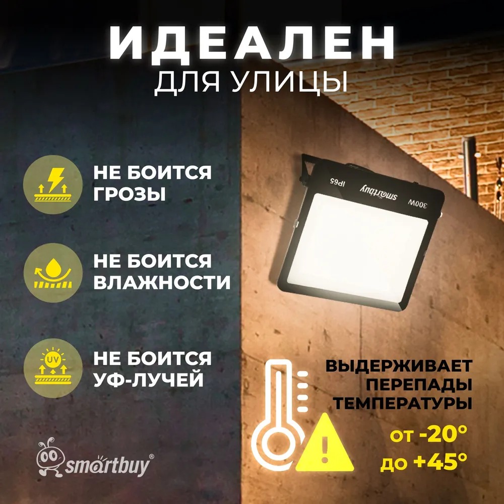 Прожектор SmartBuy SBL-EFLSMD-300-65