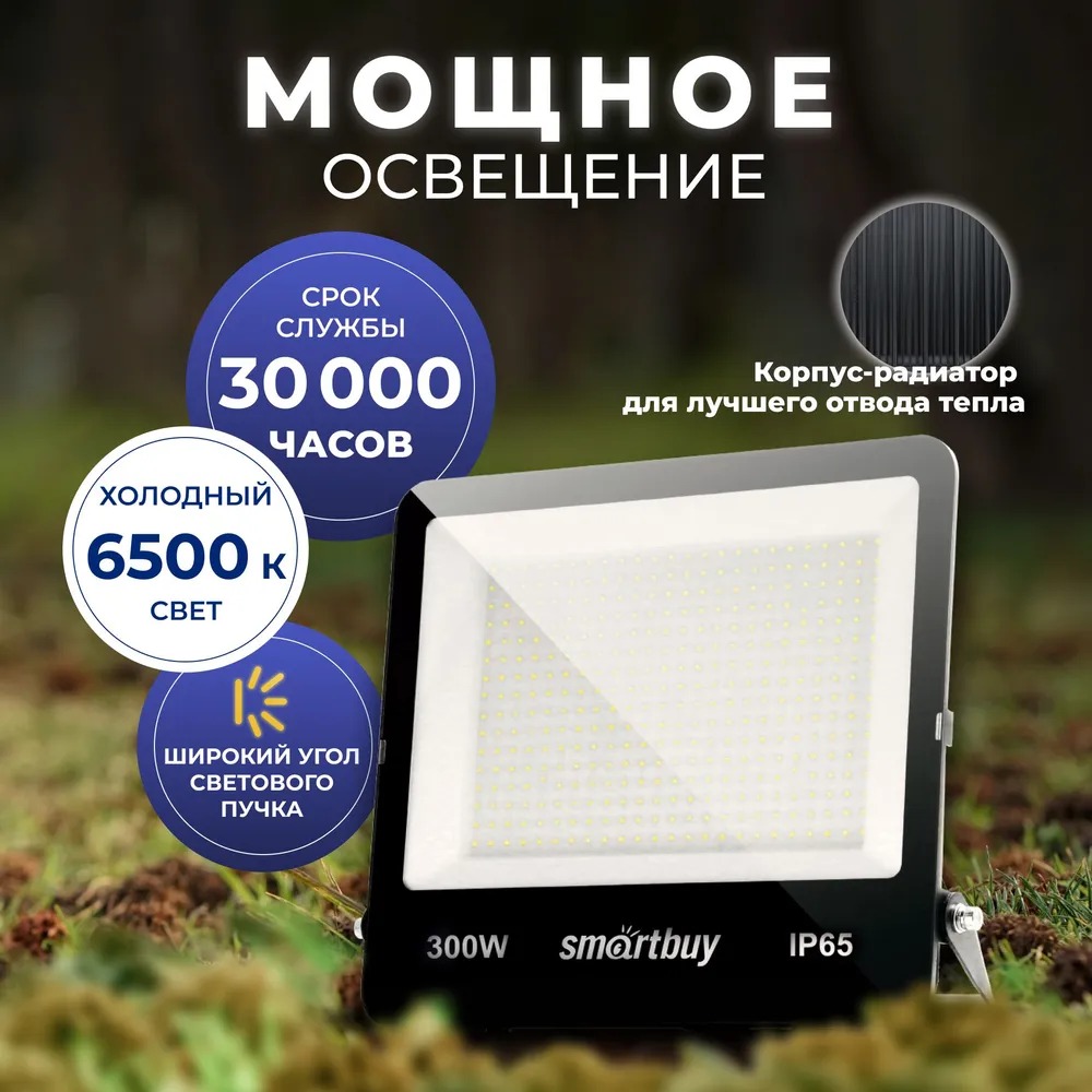 Прожектор SmartBuy SBL-EFLSMD-300-65