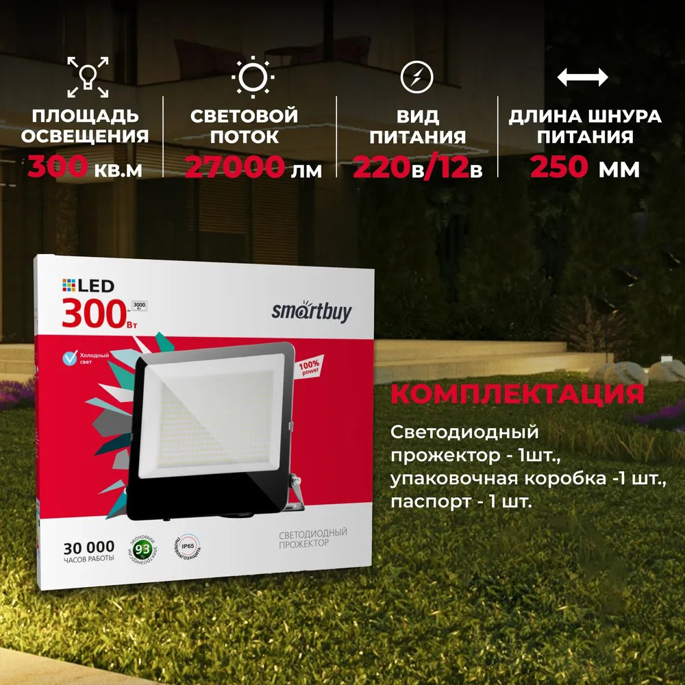 Прожектор SmartBuy SBL-EFLSMD-300-65