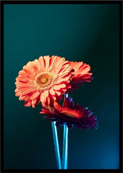 Постер Citydecor Цветы 1 (21x30)
