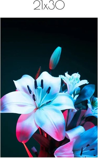 Постер Citydecor Цветы 10 (21x30)