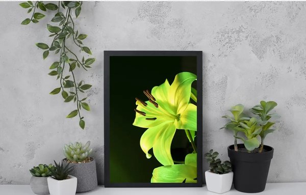 Постер Citydecor Цветы 13 (21x30)