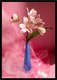 Постер Citydecor Цветы 2 (21x30) - 