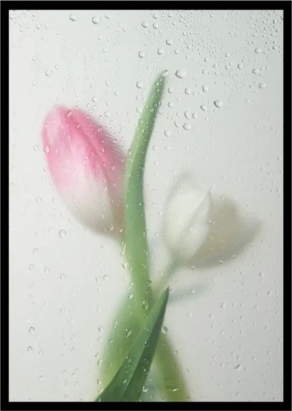 Постер Citydecor Цветы 9 (21x30)