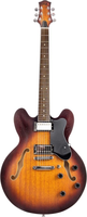 Электрогитара Eart E-335 (Brown Sunburst) - 