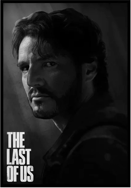 Постер Citydecor The Last Of Us 6 (21x30)