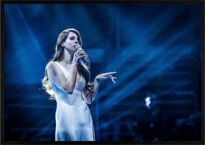 Постер Citydecor Lana Del Rey 2 (21x30) - 
