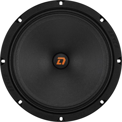 Среднечастотная АС DL Audio Raven 200 V.2 - 