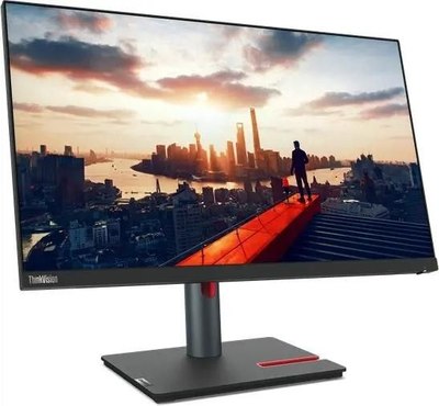 Монитор Lenovo ThinkVision P24h-30 (63B3GAT6UK)