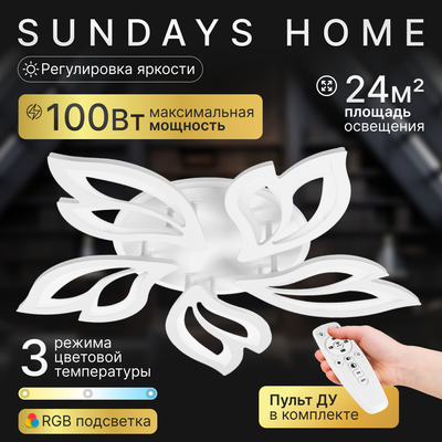 Люстра Sundays Home KR-36 / 6297 - 