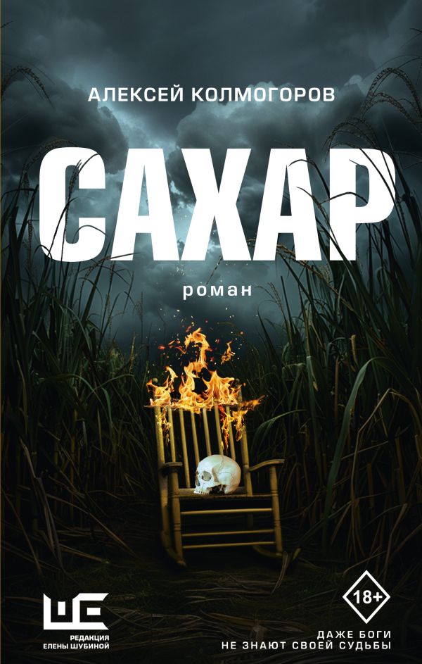 Художественная книга АСТ Сахар, твердая обложка (Колмогоров Алексей) — фото 1