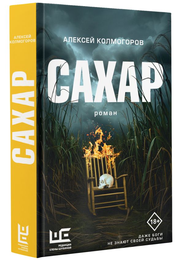 Художественная книга АСТ Сахар, твердая обложка (Колмогоров Алексей) — фото 2