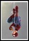 Постер Citydecor Человек-паук 13 (21x30) - 