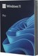 Операционная система Microsoft Windows Pro FPP 11 Eng USB (HAV-00162) - 