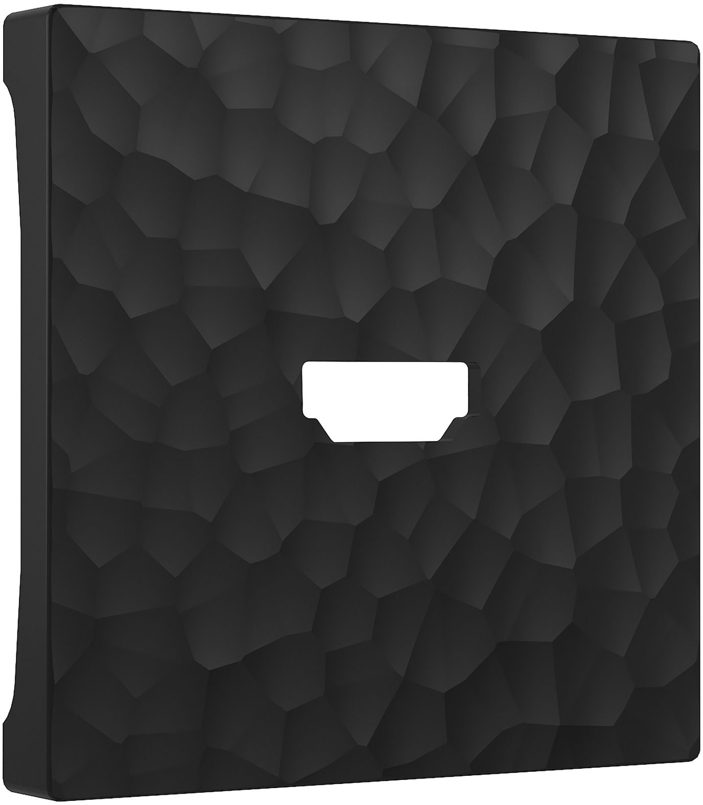 Лицевая панель Werkel W1296008 (черный)