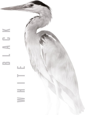 Тетрадь Listoff Жизнь прекрасна! / ТЛ4605122 -