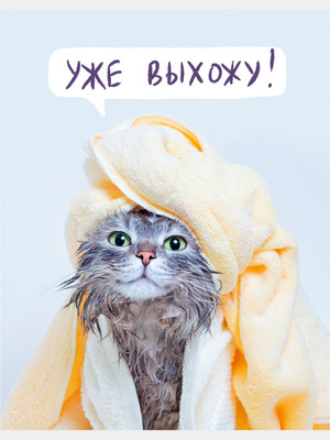 Тетрадь Listoff Утро кошечки / ТЛ4605121 -