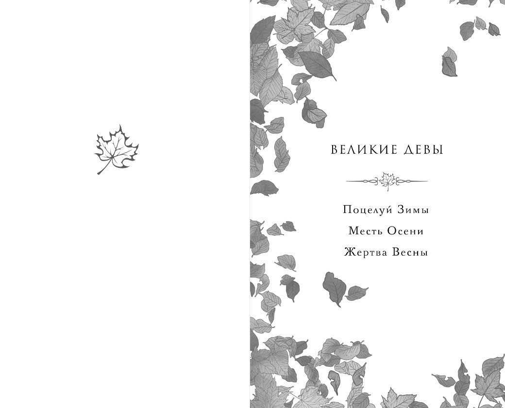 Художественная книга Черным-бело Месть Осени твердая обложка (Хедвиг Надя) — фото 2