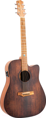 Акустическая гитара Randon RGI-10 VT-CE