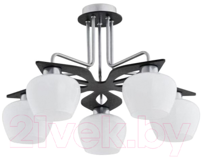 Люстра TK Lighting ТКР174