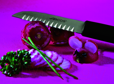 Нож Arcos Gadgets 612200