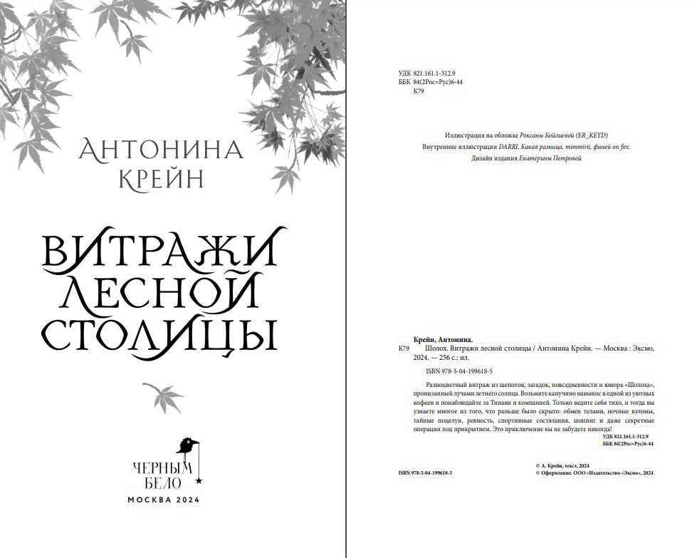Художественная книга Черным-бело Шолох. Витражи лесной столицы твердая обложка (Крейн Антонина) — фото 5