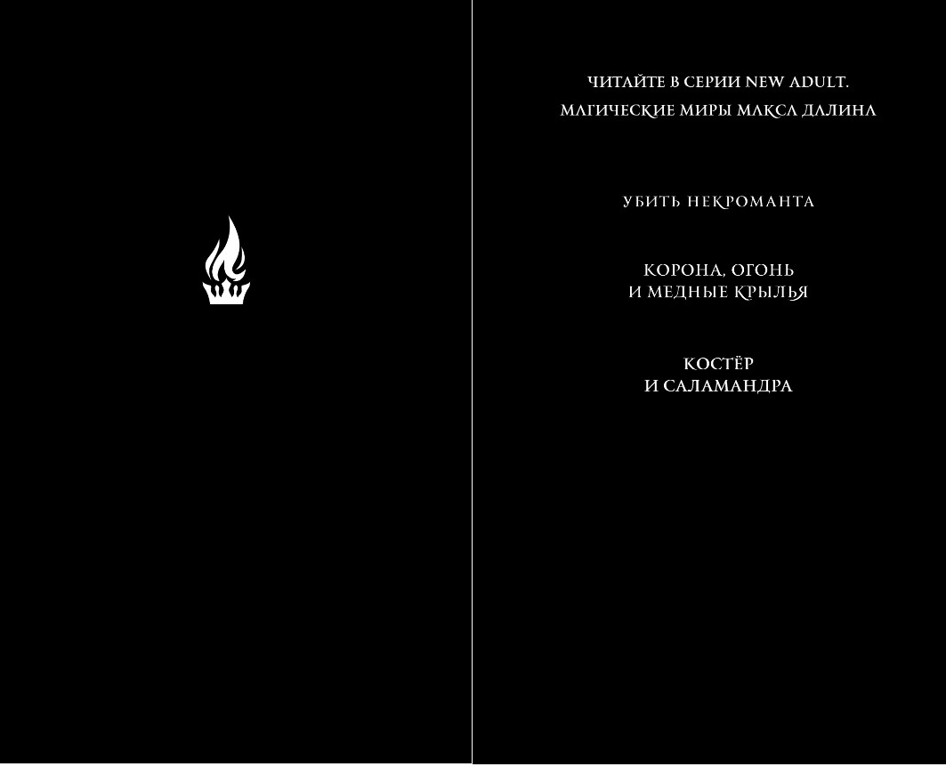 Художественная книга Эксмо Костер и Саламандра. Книга 1, твердая обложка (Далин Макс) — фото 2