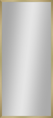 

Зеркало, Флоу 450х1000