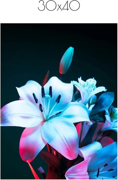 Постер Citydecor Цветы 10 (30x40)