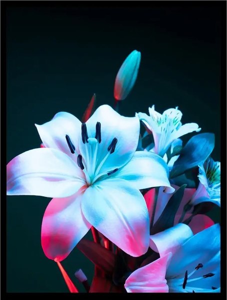 Постер Citydecor Цветы 10 (30x40)
