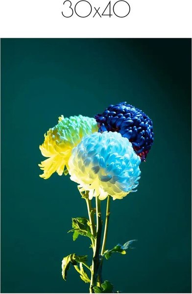 Постер Citydecor Цветы 11 (30x40)