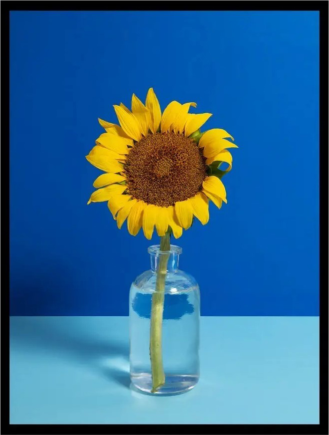 Постер Citydecor Цветы 12 (30x40)