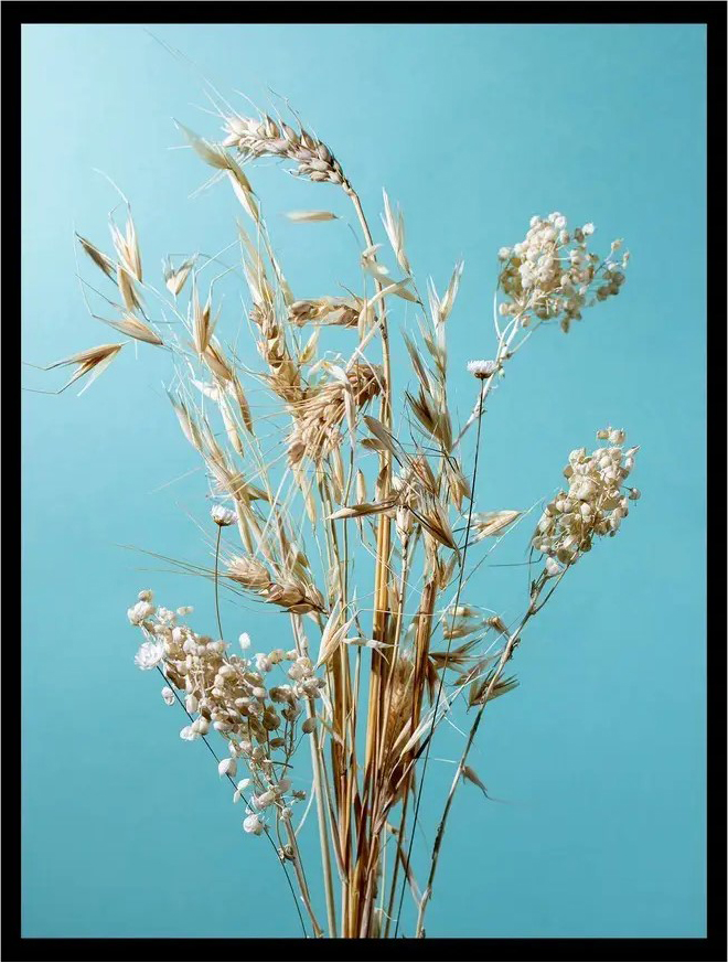 Постер Citydecor Цветы 14 (30x40)