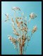 Постер Citydecor Цветы 14 (30x40) - 