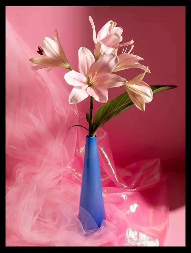 Постер Citydecor Цветы 2 (30x40)