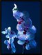 Постер Citydecor Цветы 5 (30x40) - 