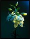 Постер Citydecor Цветы 6 (30x40) - 