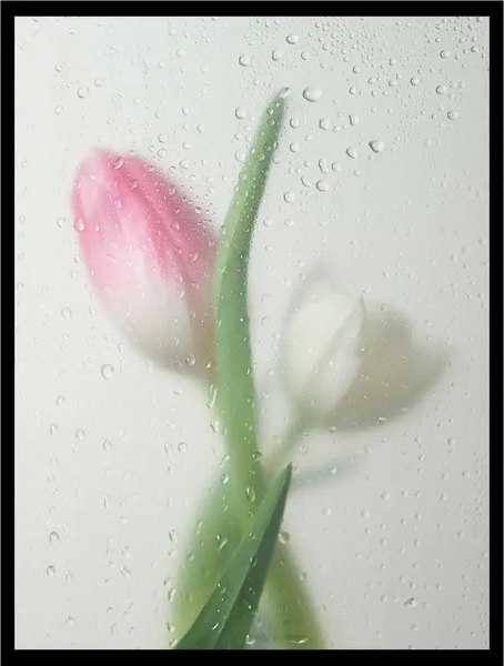 Постер Citydecor Цветы 9 (30x40)