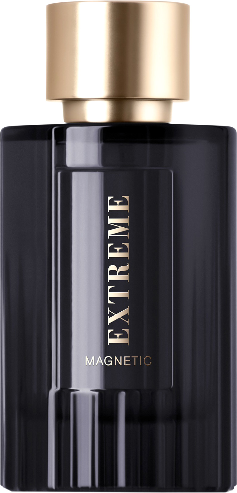 Парфюмерная вода Dilis Parfum Extreme Magnetic