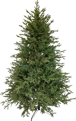 

Ель искусственная, Вилтони